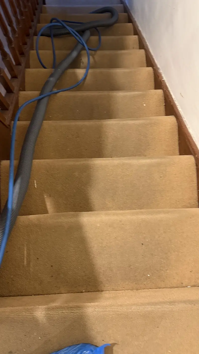 Carpet Cleaning in Harrow & London by Spark Clean Professional